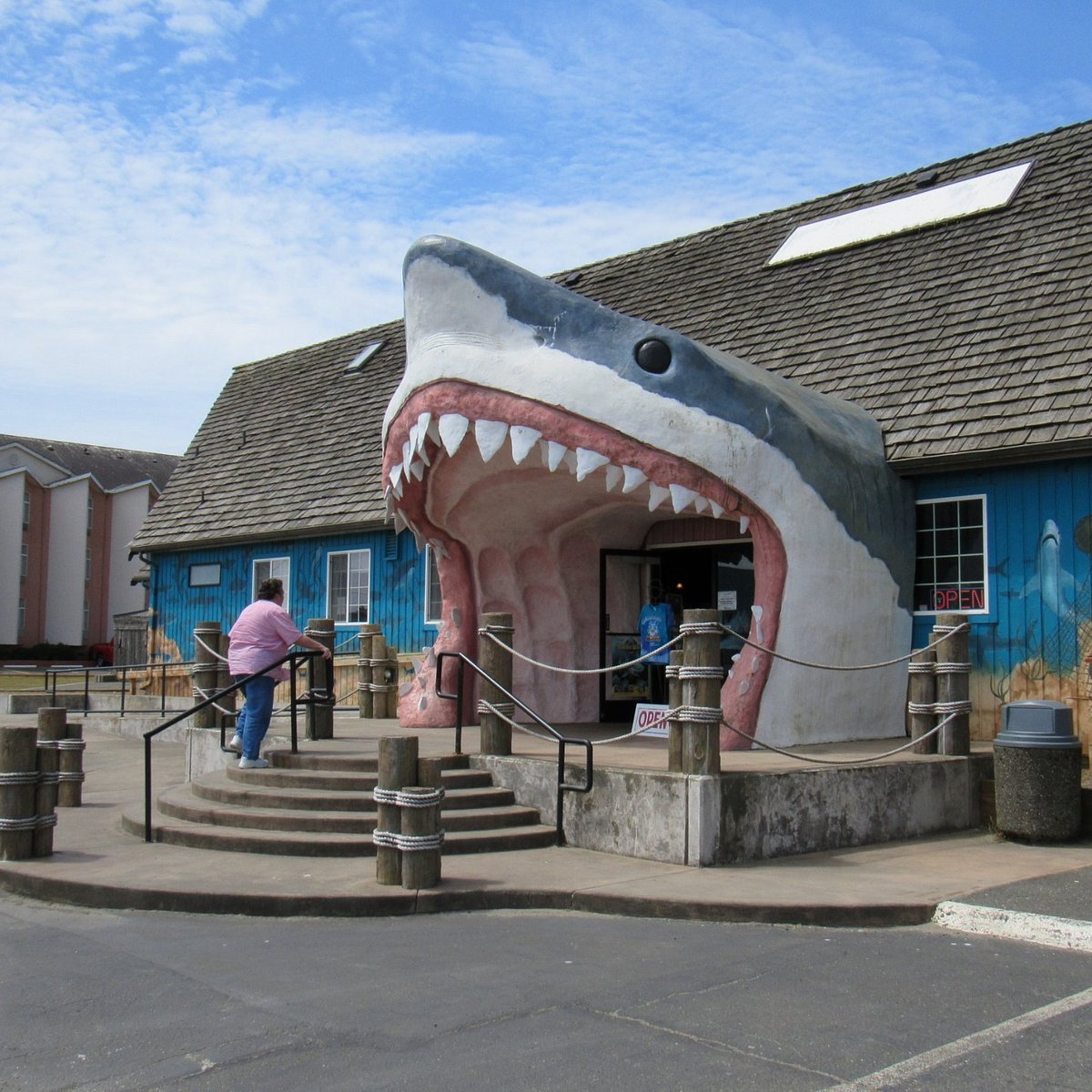 Shark Games - Regional I - 4 tips from 47 visitors