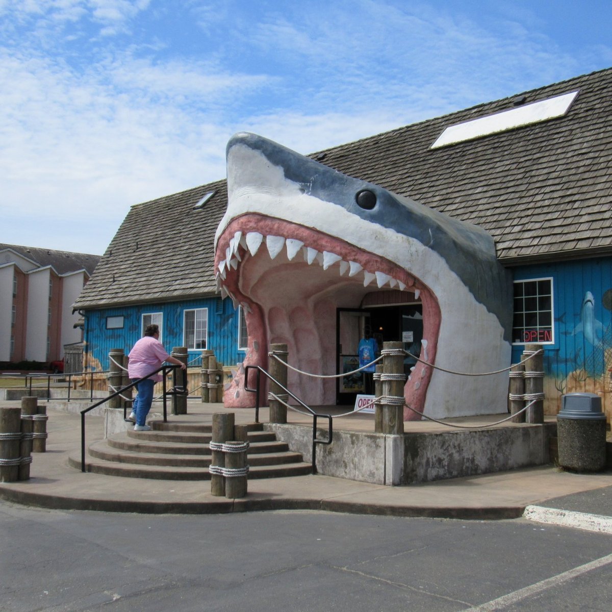 shark shop near me