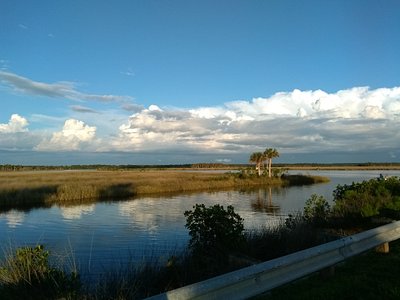 Spring Hill Fl Weather