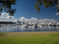 are dogs allowed at matilda bay reserve