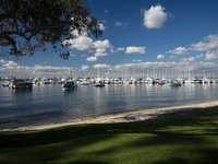 are dogs allowed at matilda bay reserve