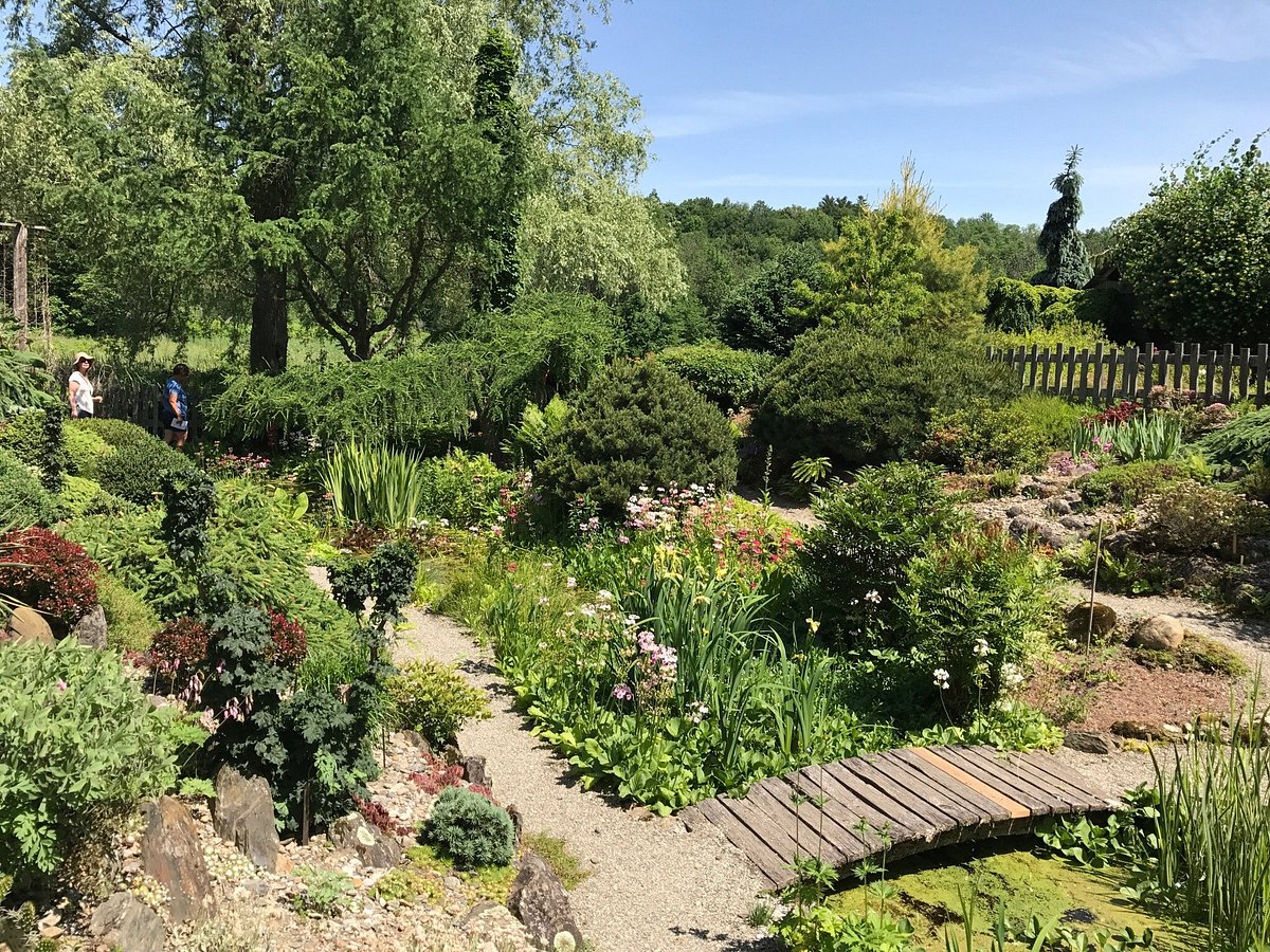 Cady'S Falls Botanical Gardens: Nature's Hidden Gem