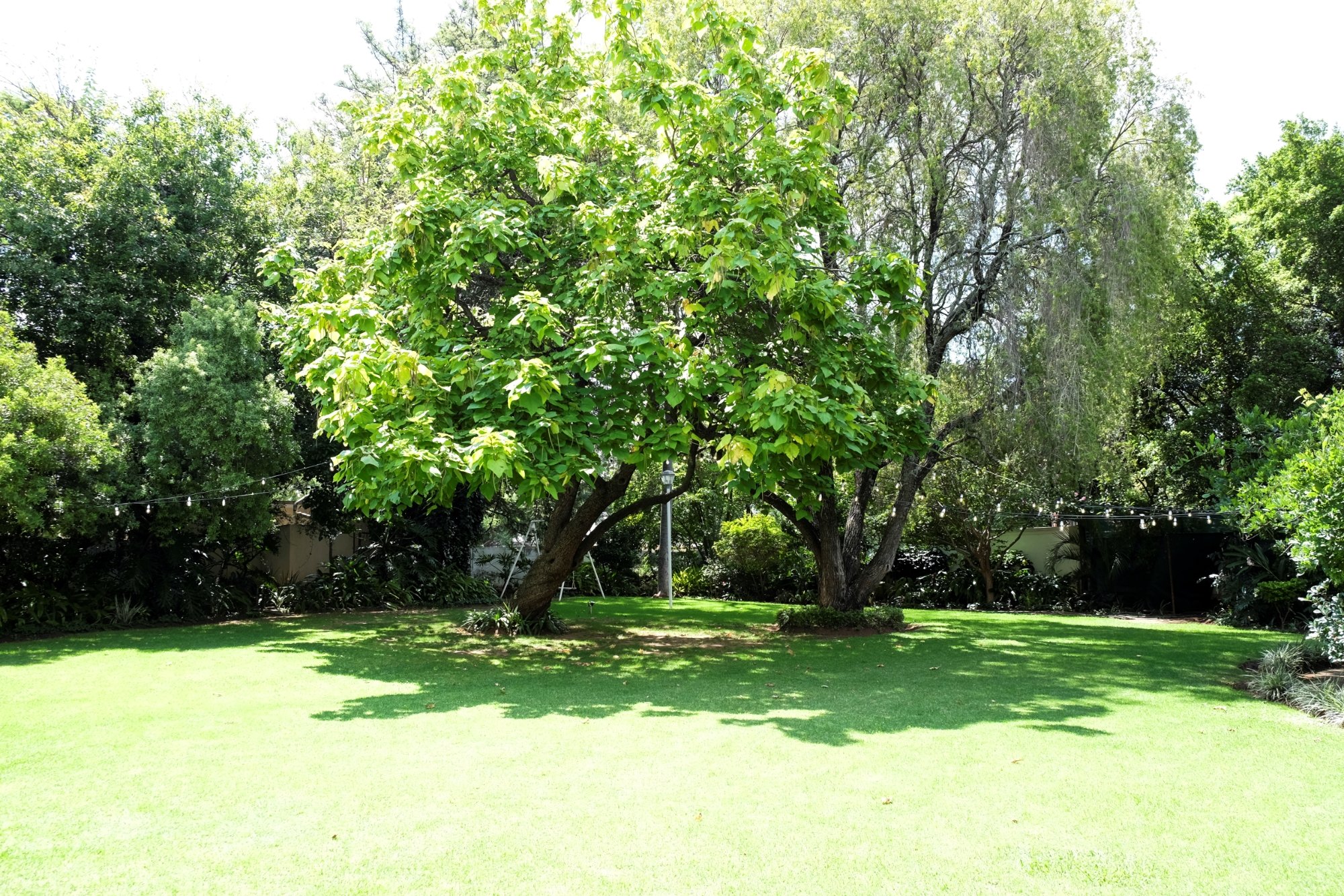Hotel photo 5 of Waterkloof Guesthouse.