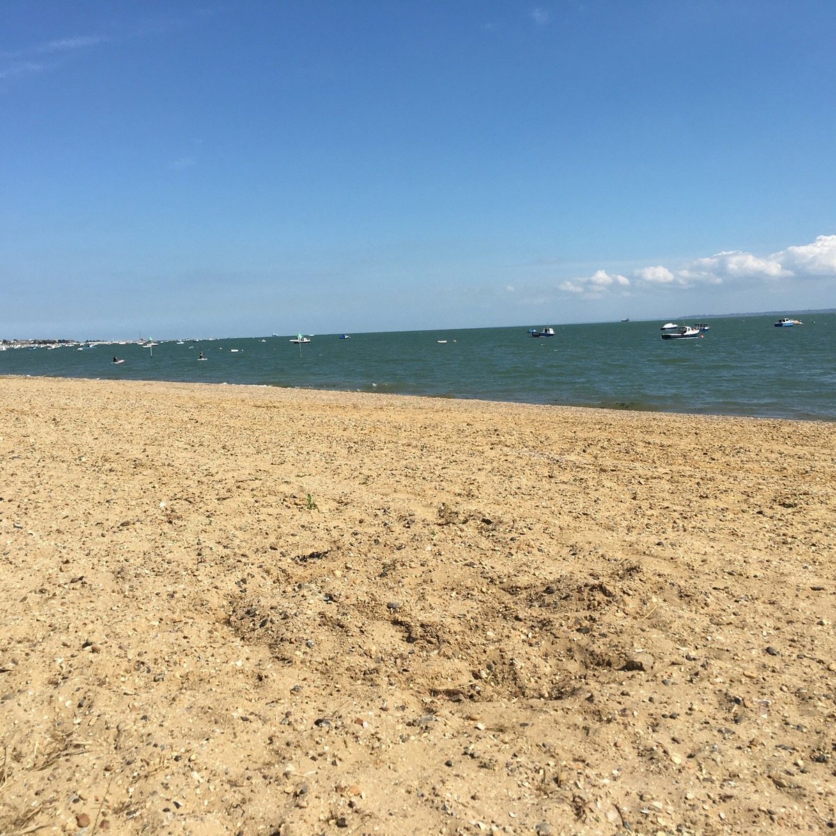 thorpe bay yacht club reviews