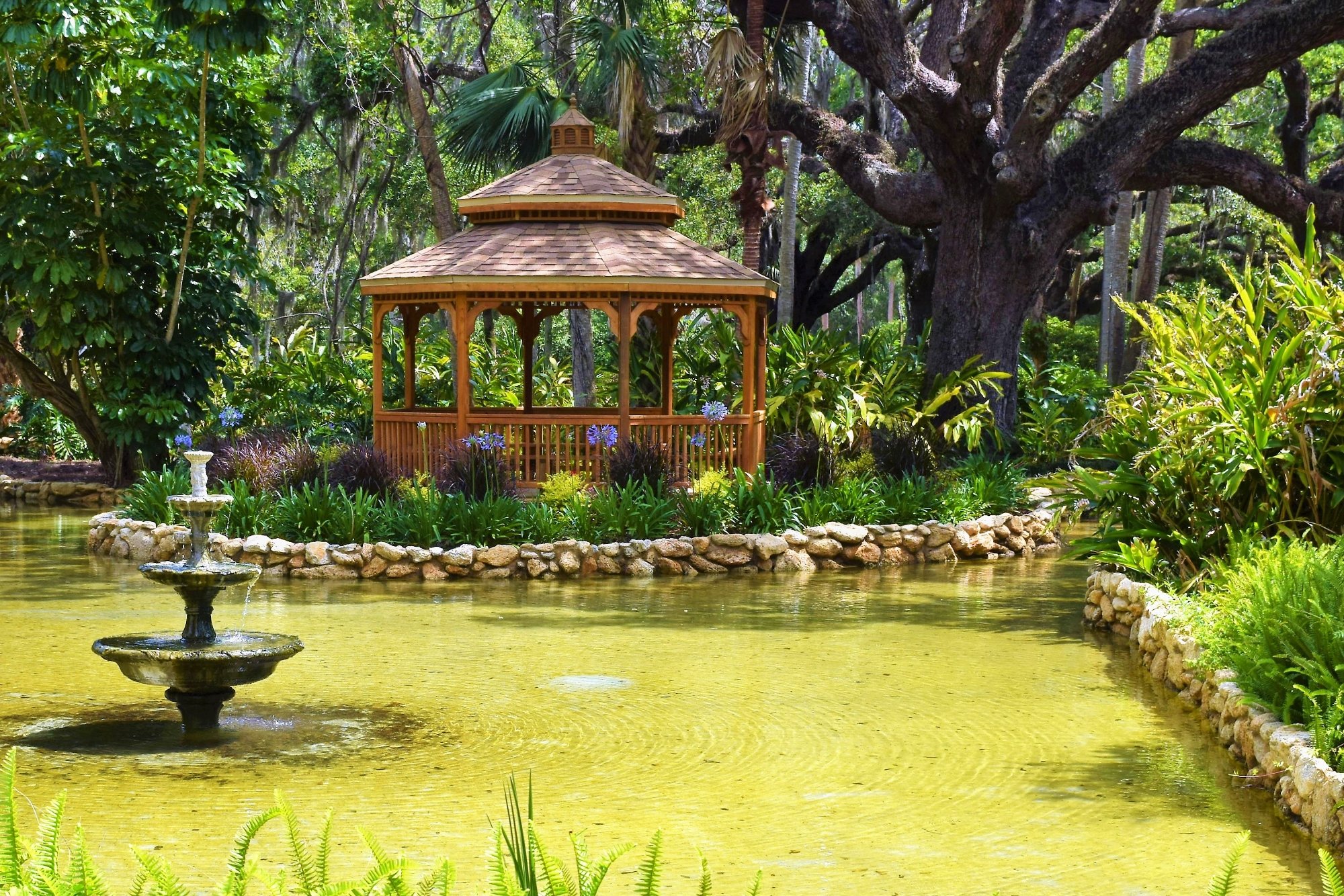 חוות דעת על ‪Washington Oaks Gardens State Park‬ - פאלם קוסט, פלורידה ...