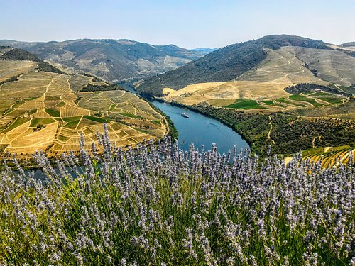 5 Of The Best Wineries In Douro Valley Portugal You Should Visit