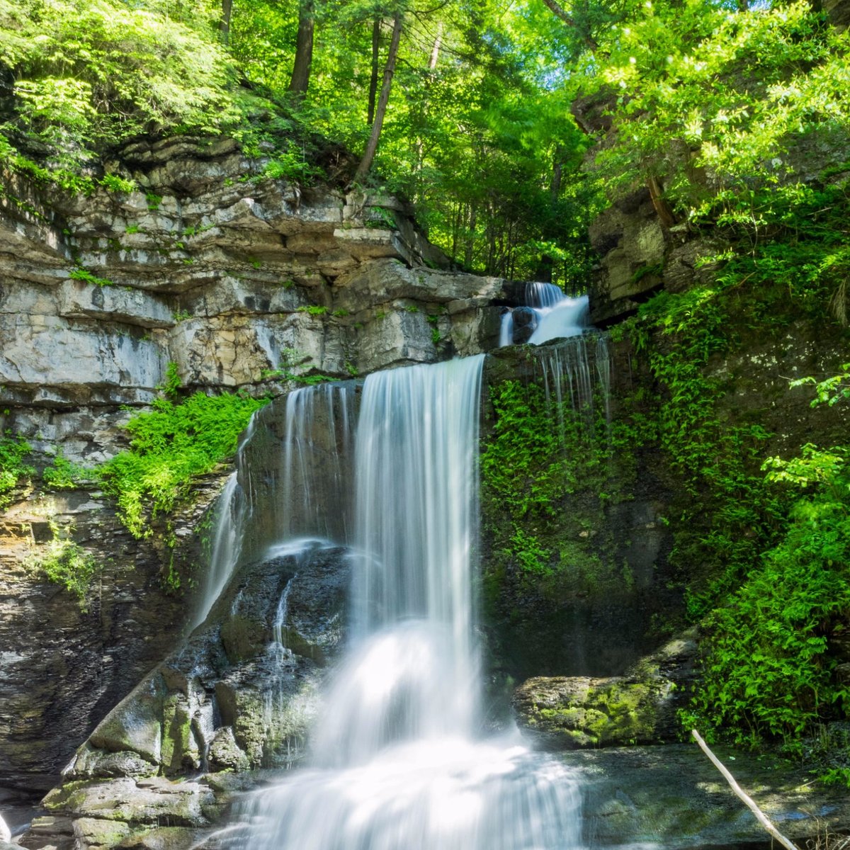 Fillmore Glen State Park (Moravia) - 2022 Lohnt es sich? (Mit fotos)