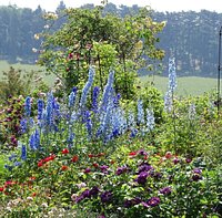 mooie botanische tuin, gratis entree, groot park waarvje ook heerlijk kunt relaxen, mooie liggin
