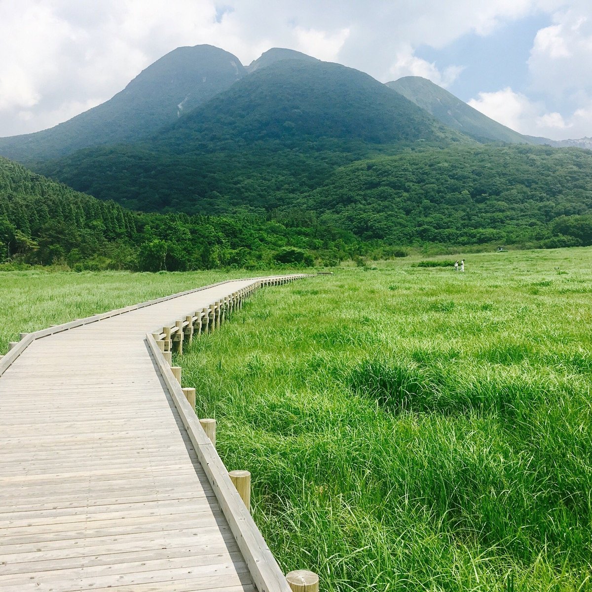 Tadewara Wetlands Kokonoe Machi All You Need To Know Before You Go