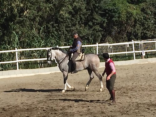 Balade à cheval sur la plage en Andalousie - Andaluciamia