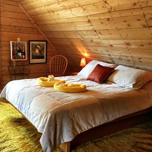 grande cabin room 2