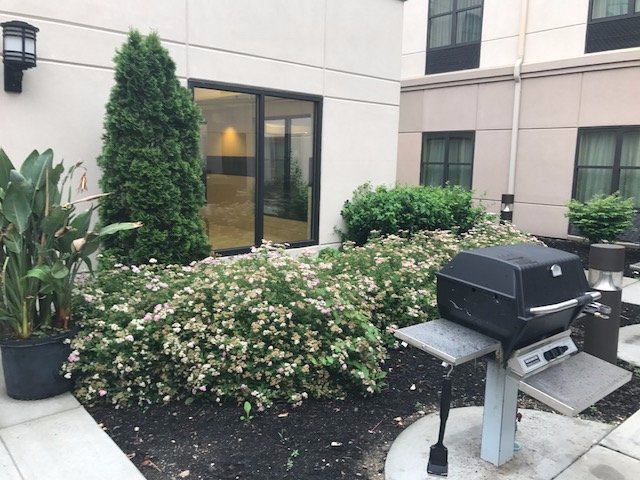 HOMEWOOD SUITES BY HILTON CARLE PLACE GARDEN CITY NY Updated 2024   Bbq Grill 