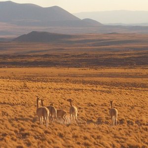 Camino de Cornisa (Salta) - All You Need to Know BEFORE You Go ...