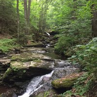 Worlds End State Park (forksville) - All You Need To Know Before You Go