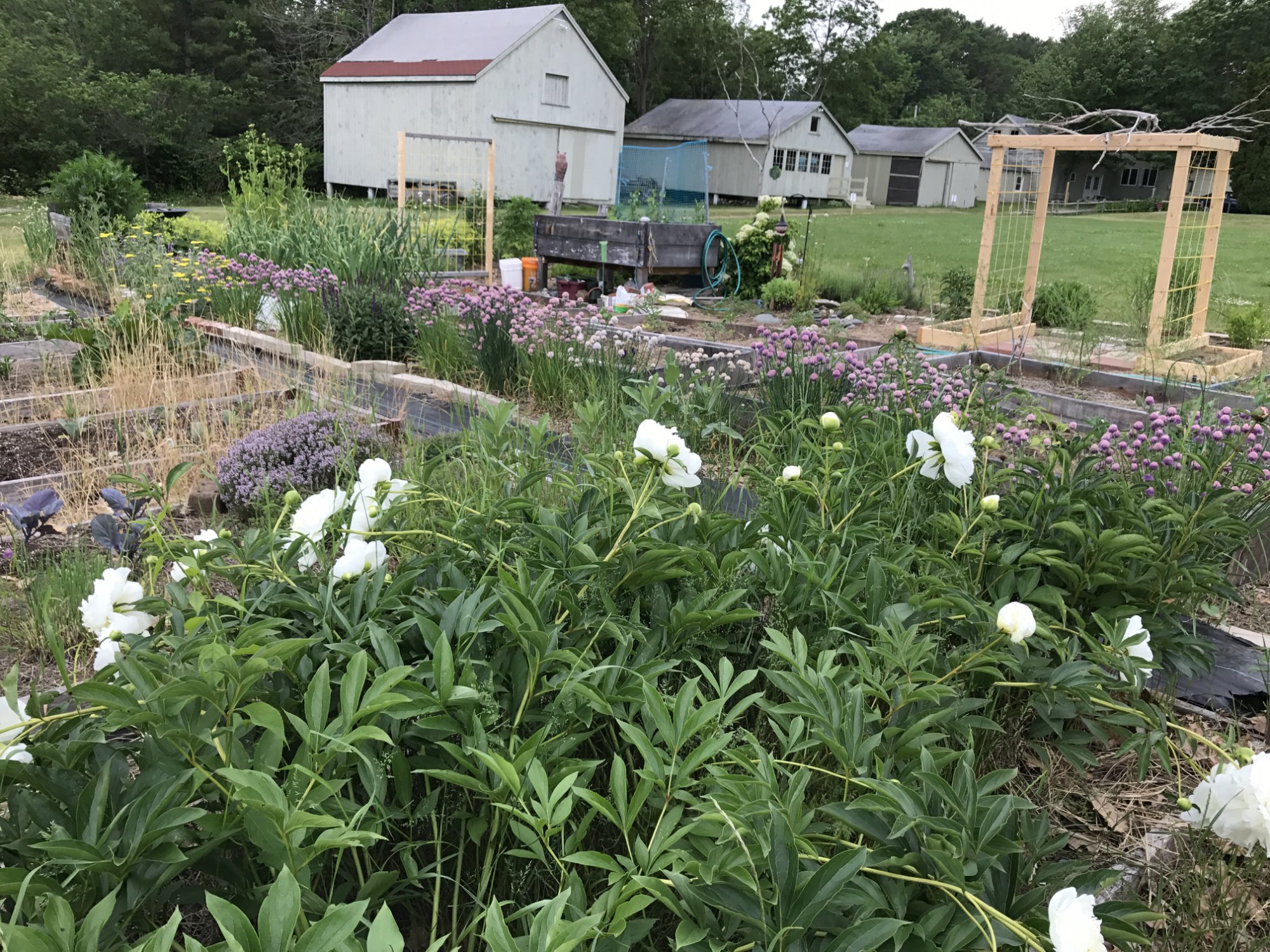 Beach Plum Farm Ogunquit All You Need To Know BEFORE You Go   Administrative Buildings 