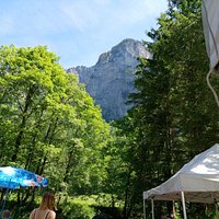 im Garten.....................