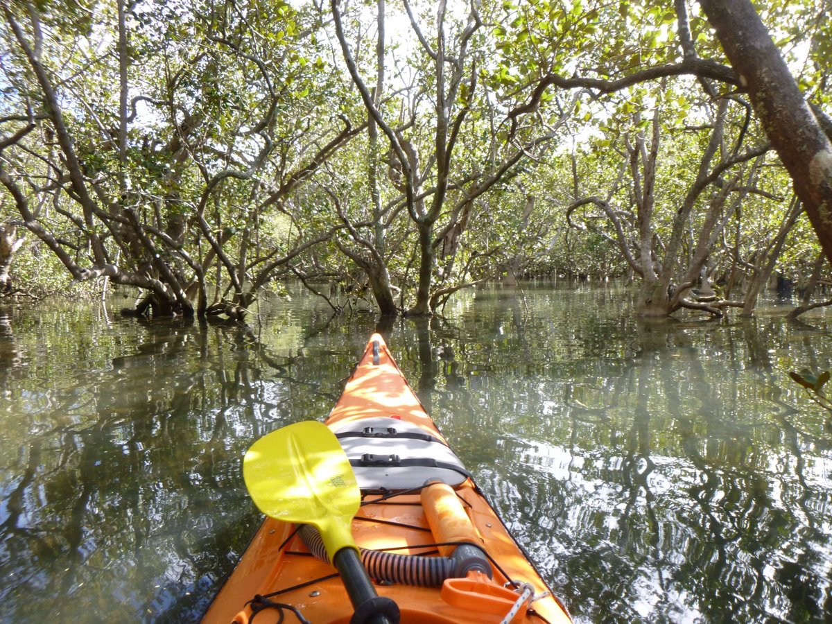 COASTAL KAYAKERS (Waitangi) - All You Need to Know BEFORE You Go