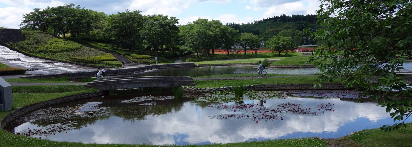 One of the most serene gardens in Japan...and the park is so huge there's always a quiet spot to