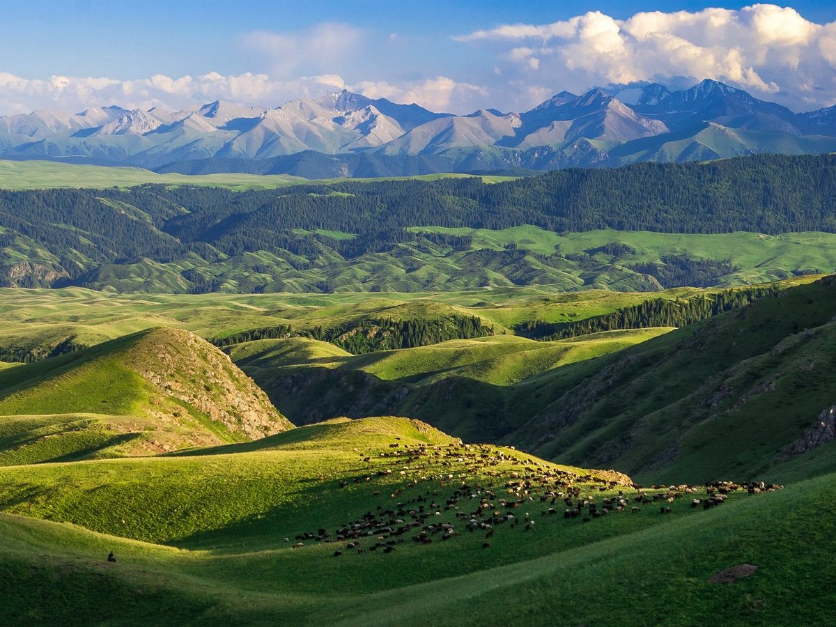 almaty mountains - Video of Almaty, Kazakhstan - Tripadvisor