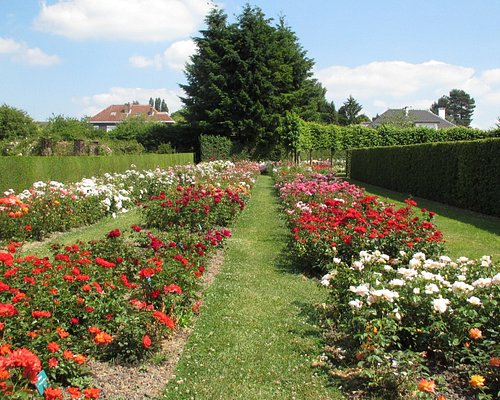 THE 10 BEST Belgium Gardens (Updated 2023) - Tripadvisor