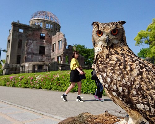 Things to Do in Hiroshima  Hiroshima Jogakuin University