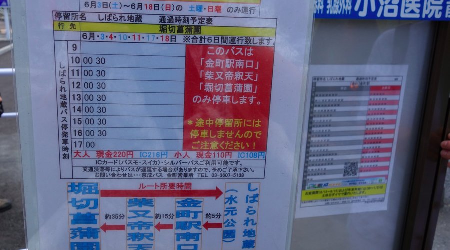 かつしか菖蒲巡りバス