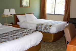 Room & Suite