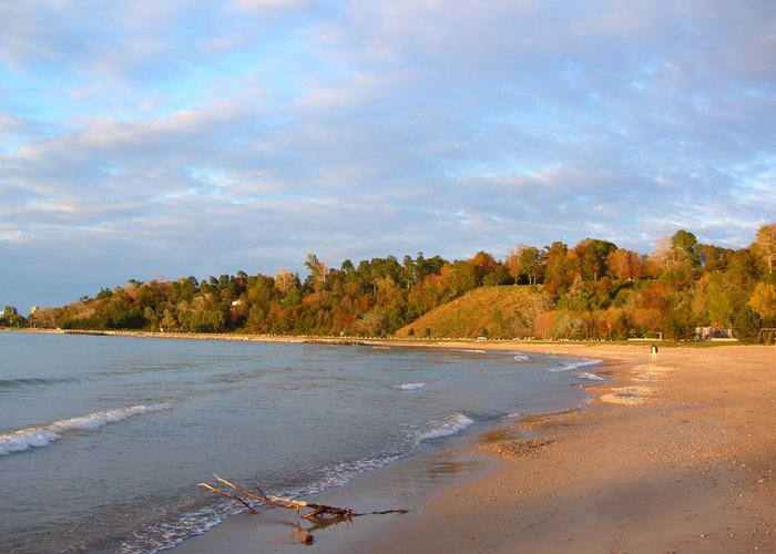 Rotary Cove Beach