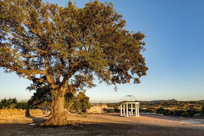 Imagen 21 de Agroturismo Ses Vistes