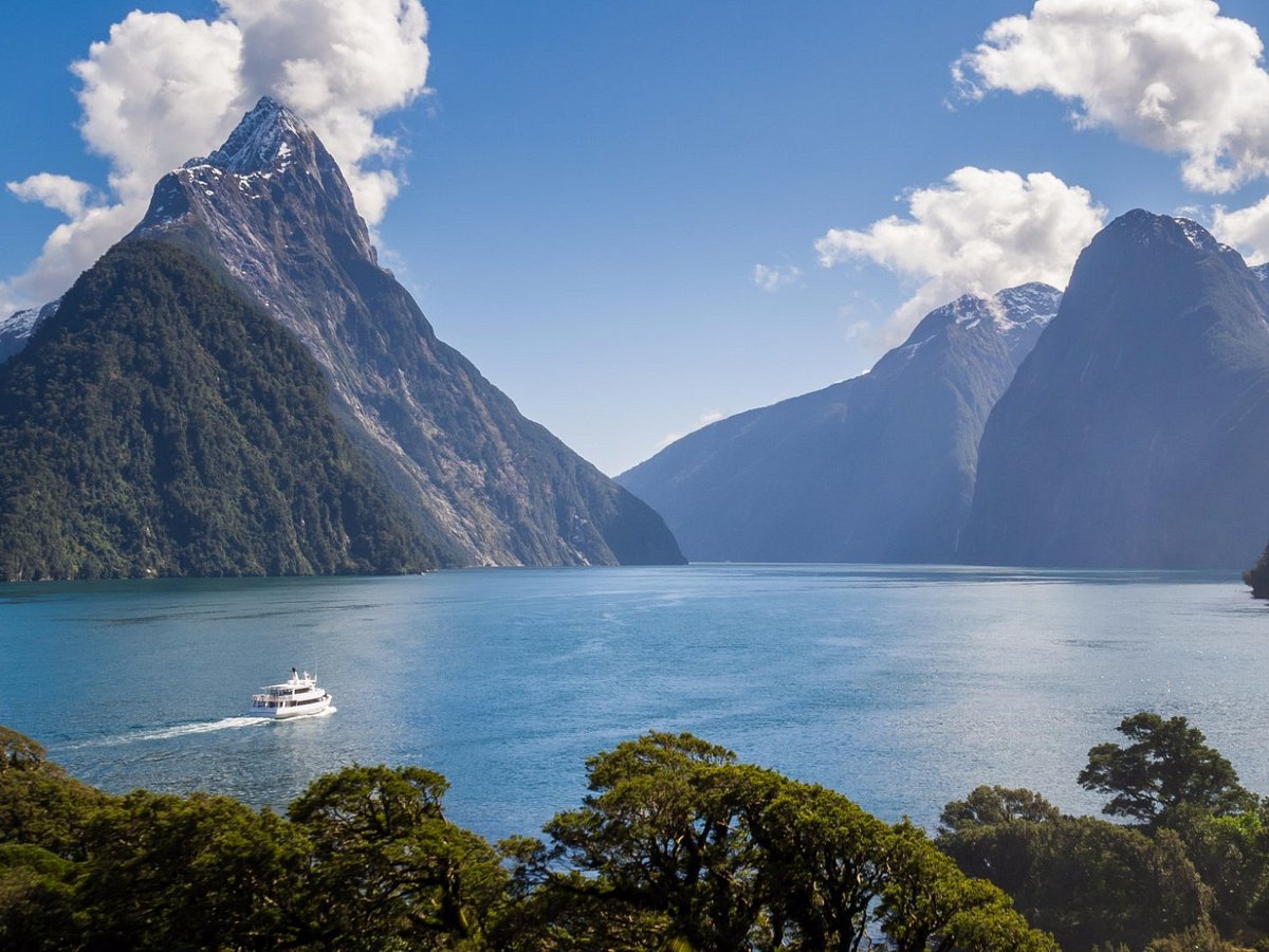 Cruise Milford (milford Sound): All You Need To Know Before You Go