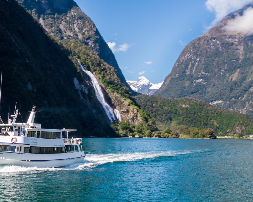 THE 15 BEST Things to Do in Milford Sound (2024)