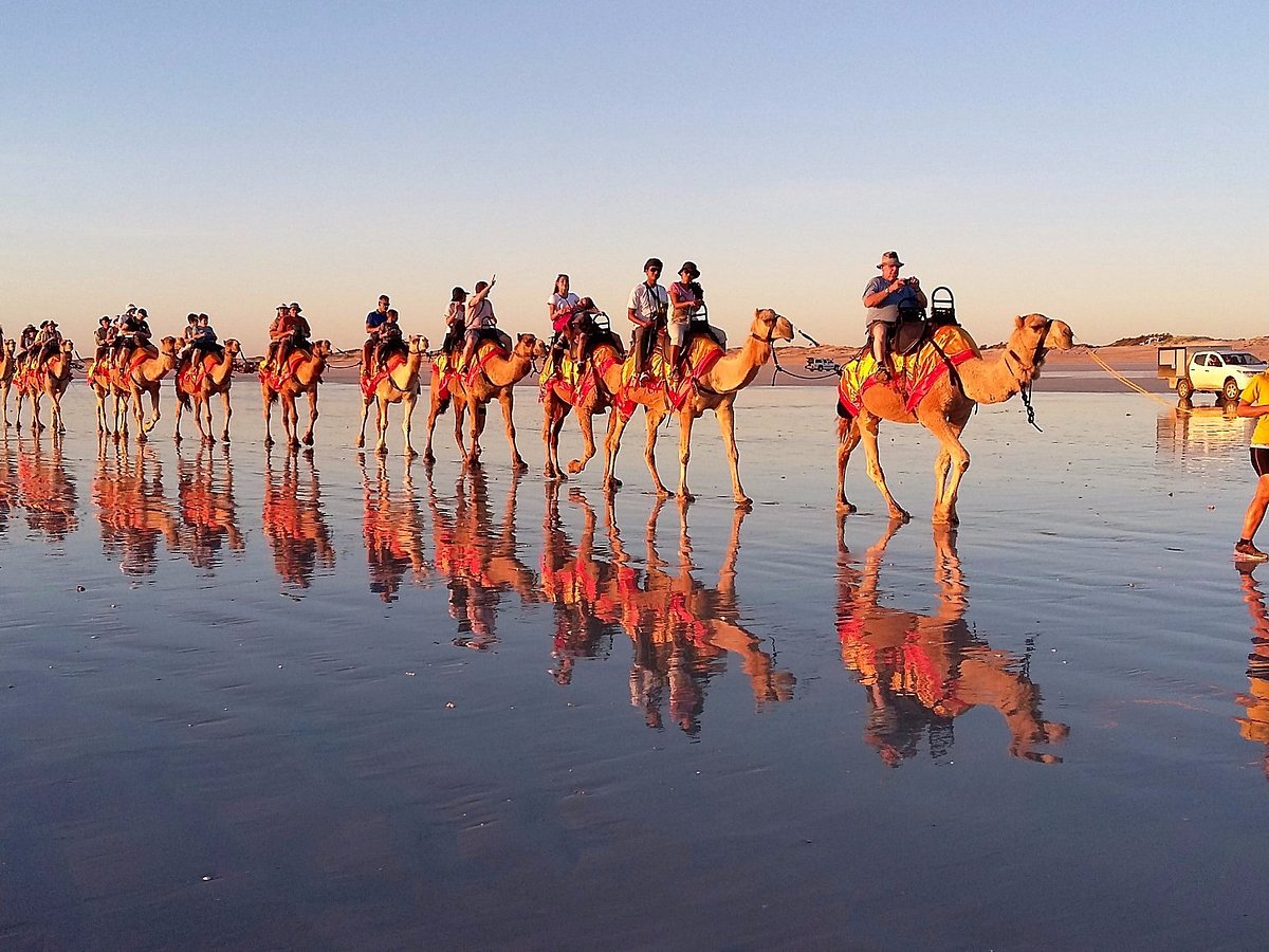 sundowner camel tours