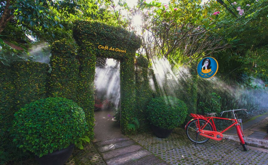 Cafe de Oasis 