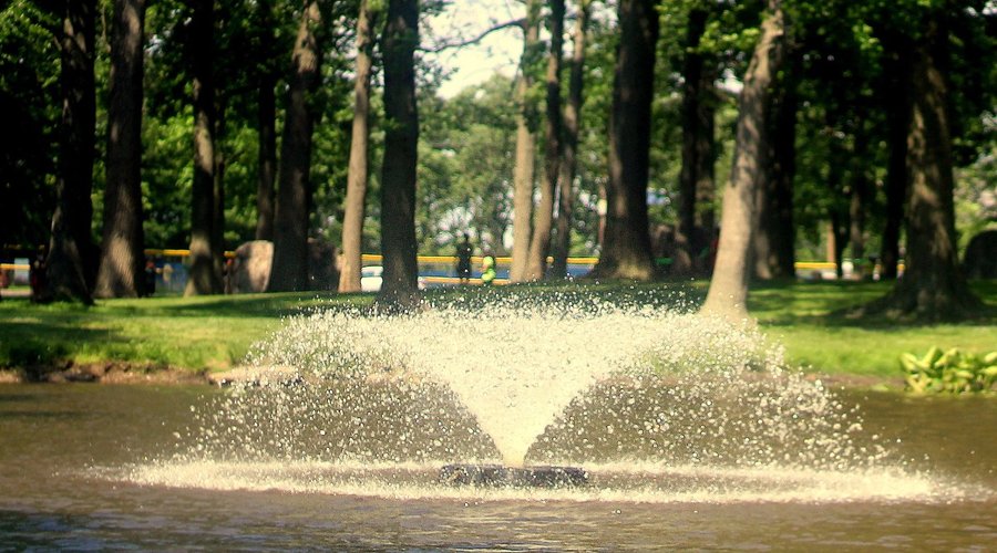the fountain