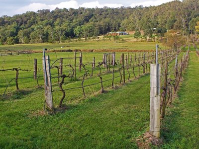 2021 Best Of Kulnura Australia Tourism Tripadvisor