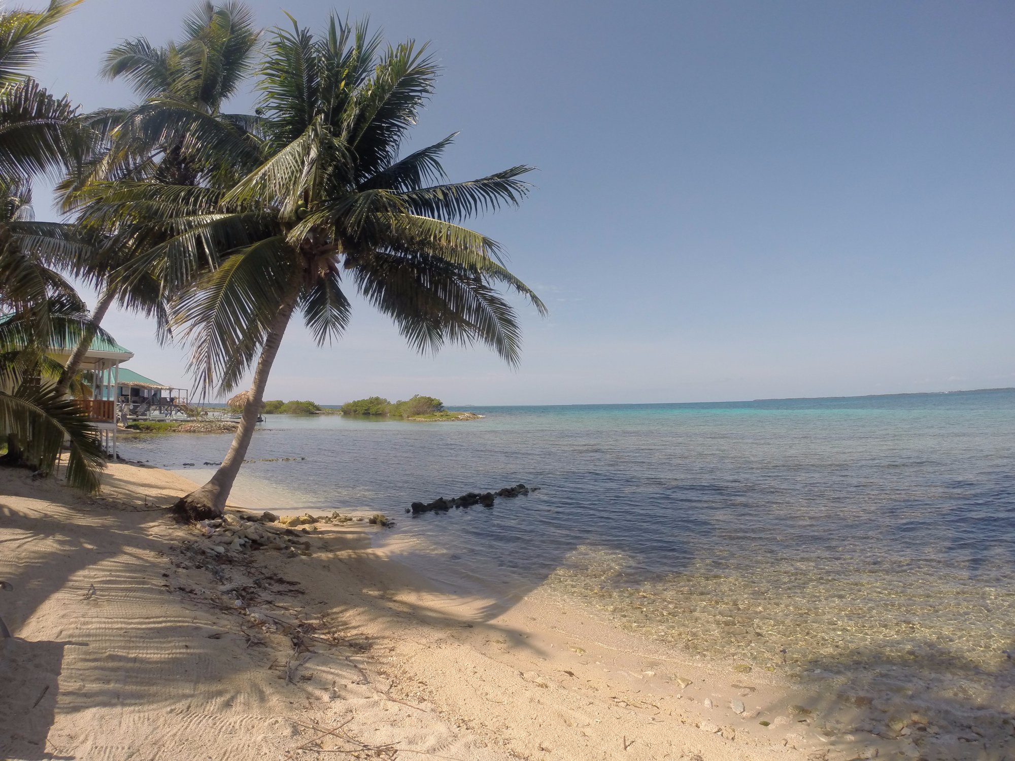 REEF'S END LODGE - Updated 2024 B&B Reviews (Tobacco Caye, Belize)