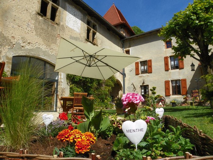 CHÂTEAU DE LA SAONE Bewertungen, Fotos & Preisvergleich (LensLestang