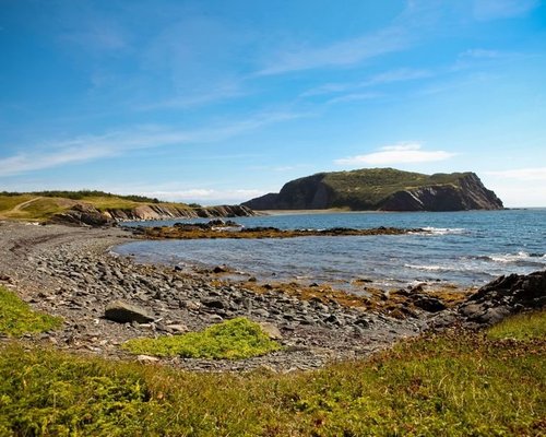 THE 5 BEST Things to Do in Port Rexton (2024) - Must-See Attractions