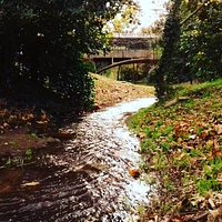 Arroyo Las Chacras