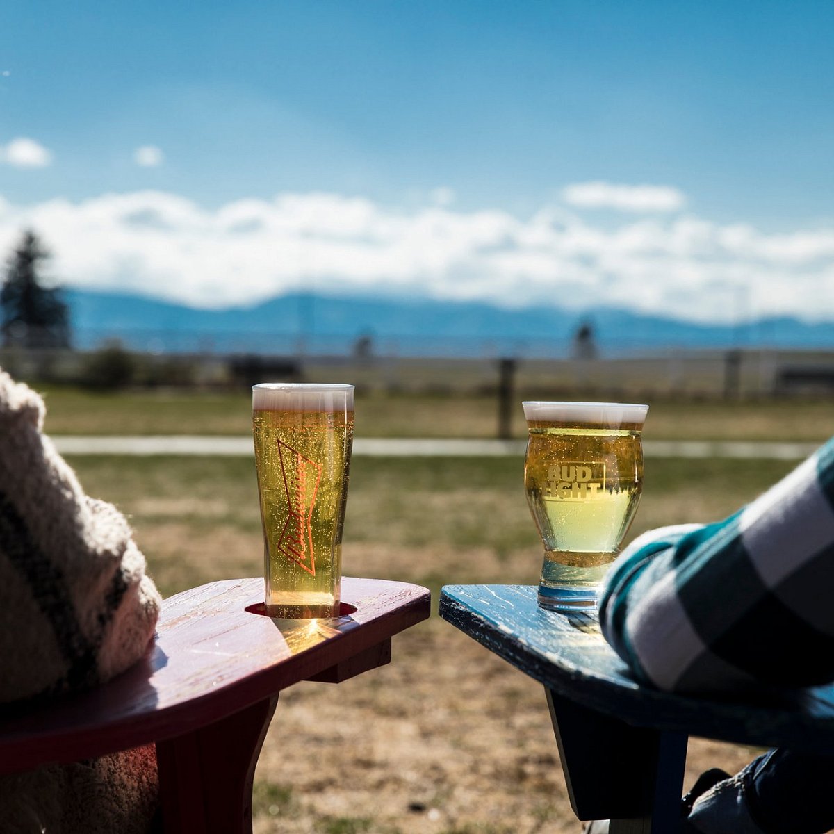 fort collins budweiser tours