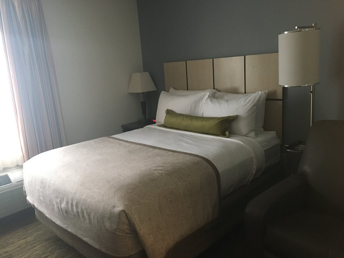 SONESTA SIMPLY SUITES BOSTON BRAINTREE - отзывы, фото и сравнение цен -  Tripadvisor