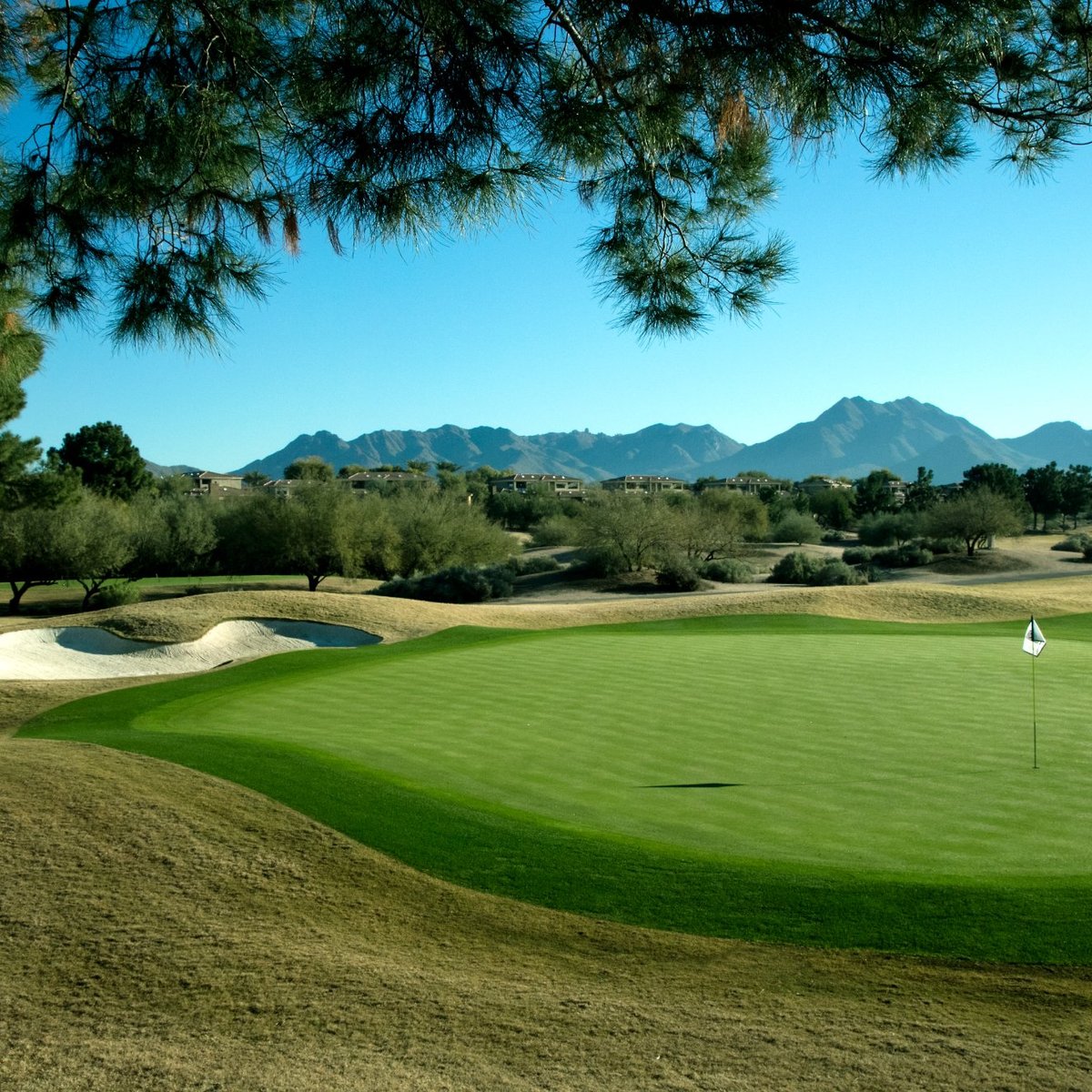 TPC Scottsdale Champions Course All You Need to Know BEFORE You Go