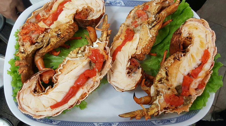 Cavaco- Slipper Lobster