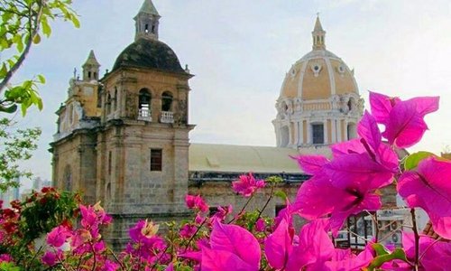Qué florezca la esperanza en la Sede de los Derechos Humanos