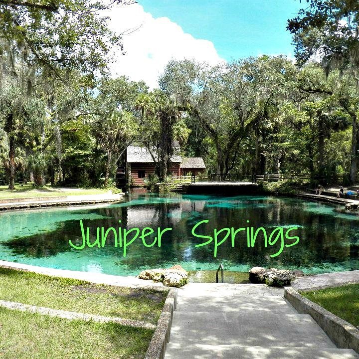 Juniper Springs Recreation Area - UPDATED 2021 Reviews ...