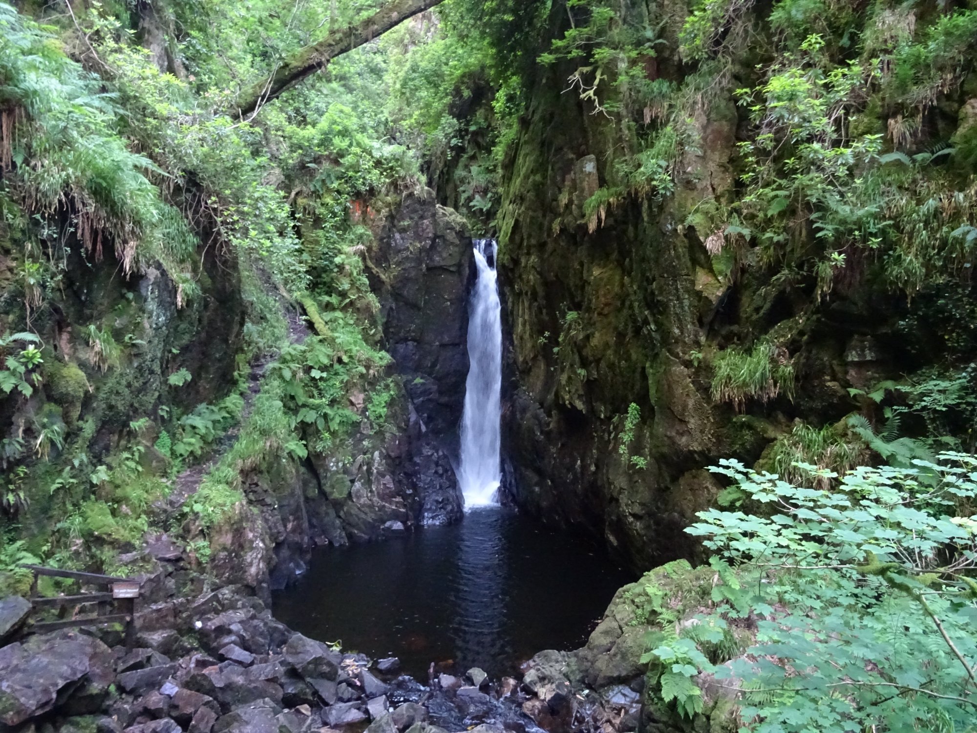 2024年 Stanley Ghyll Force Waterfall - 出発前に知っておくべきことすべて - トリップアドバイザー