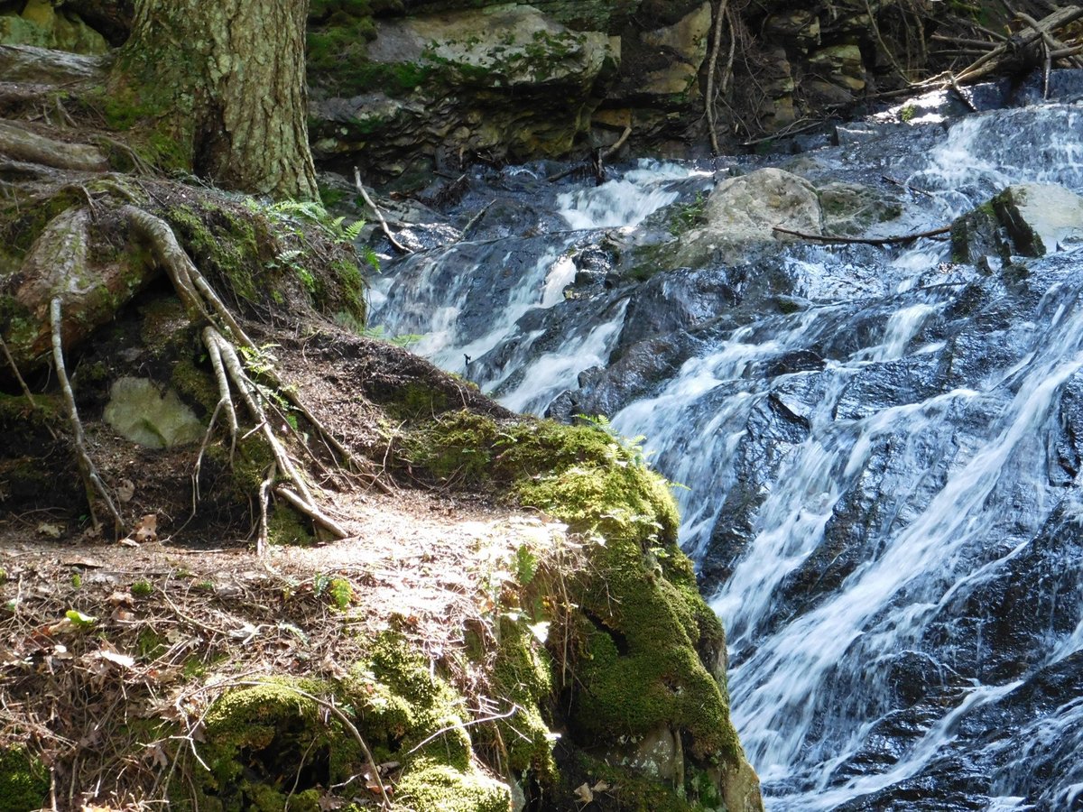 Thundering Brook Falls Trail - All You Need to Know BEFORE You Go (2024)