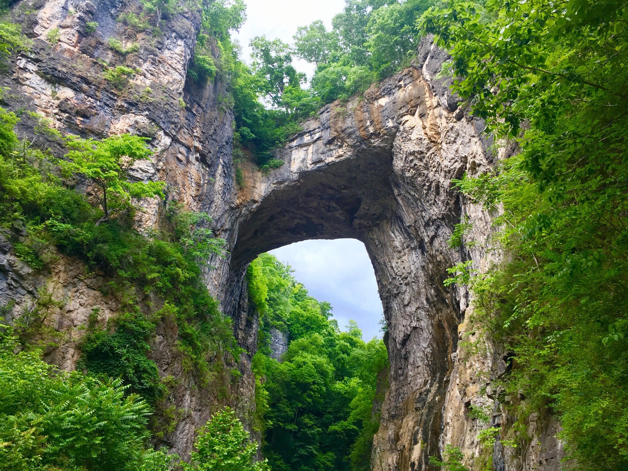 Natural Bridge State Park Aktuell F R 2022 Lohnt Es Sich Mit Fotos   Photo0jpg 