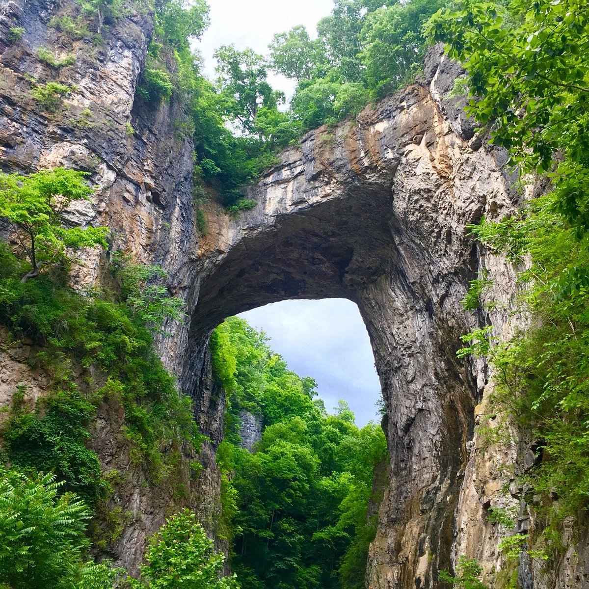 Natural Bridge State Park - All You Need to Know BEFORE You Go