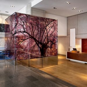 Park Hyatt Washington D.C., hotel in Washington DC